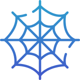 Spinnennetz - Icon